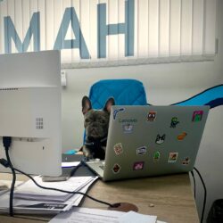 Собачий менеджер 🐶